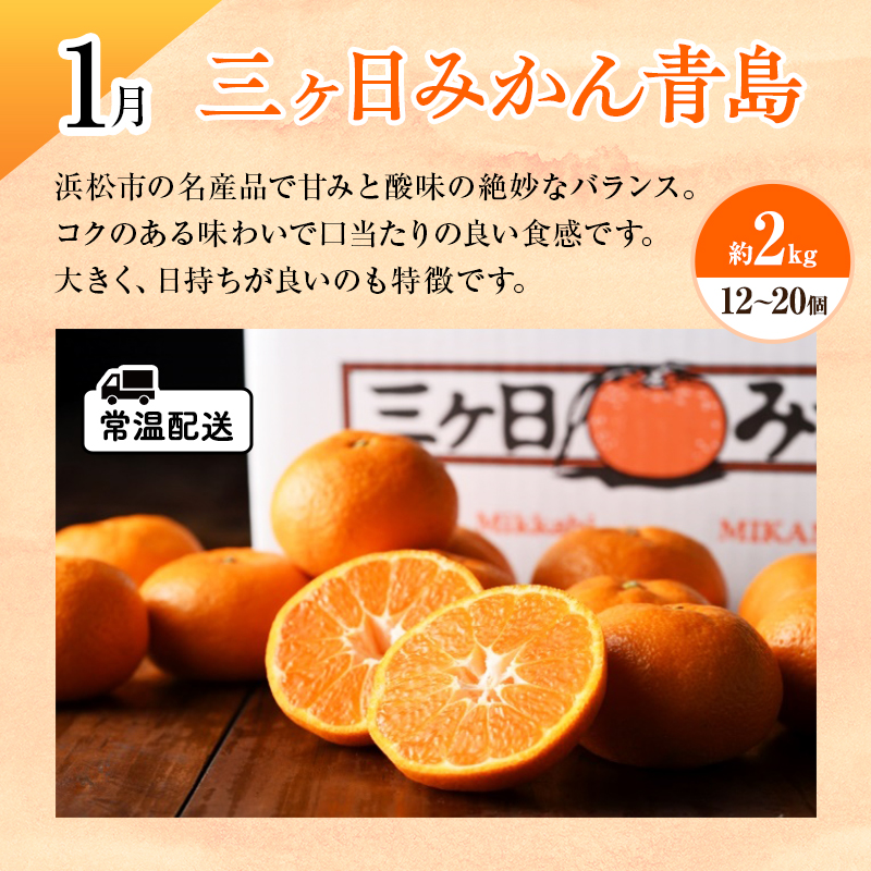 【2026年1月中旬より発送】浜松市の柑橘定期便 4回（1月～4月）三ヶ日みかん青島・せとか・不知火・グレープフルーツ