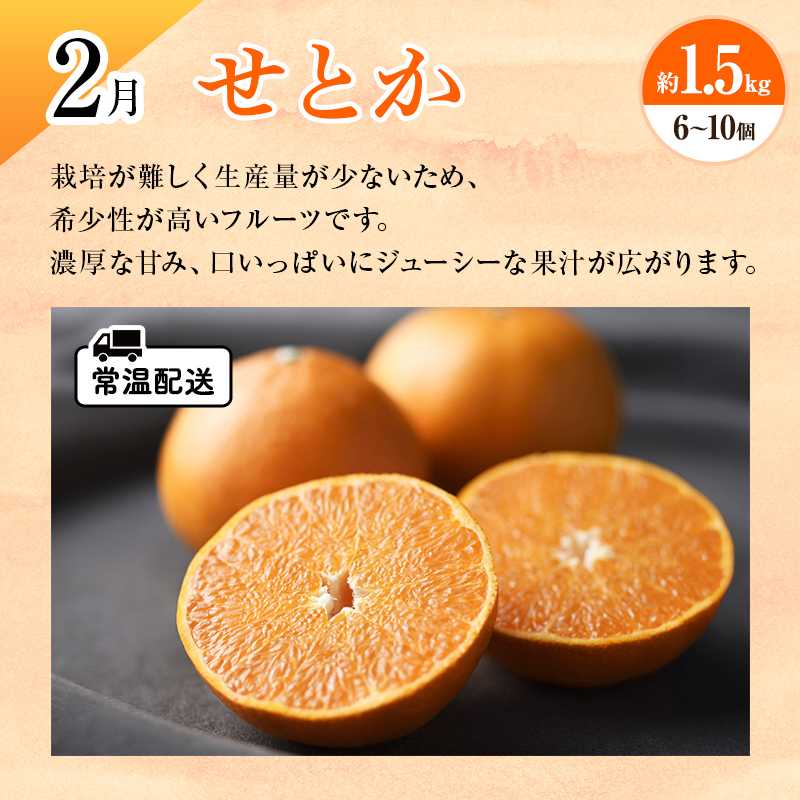 【2026年1月中旬より発送】浜松市の柑橘定期便 4回（1月～4月）三ヶ日みかん青島・せとか・不知火・グレープフルーツ