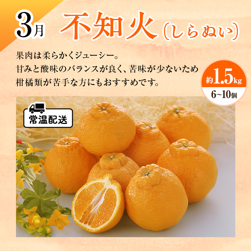 【2026年1月中旬より発送】浜松市の柑橘定期便 4回（1月～4月）三ヶ日みかん青島・せとか・不知火・グレープフルーツ
