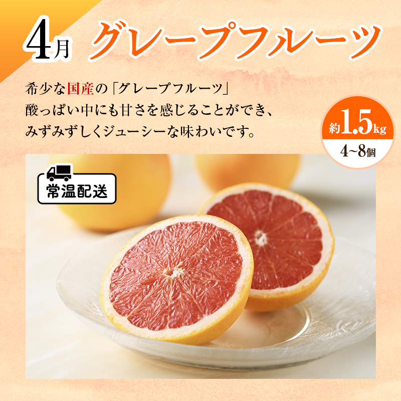 【2026年1月中旬より発送】浜松市の柑橘定期便 4回（1月～4月）三ヶ日みかん青島・せとか・不知火・グレープフルーツ
