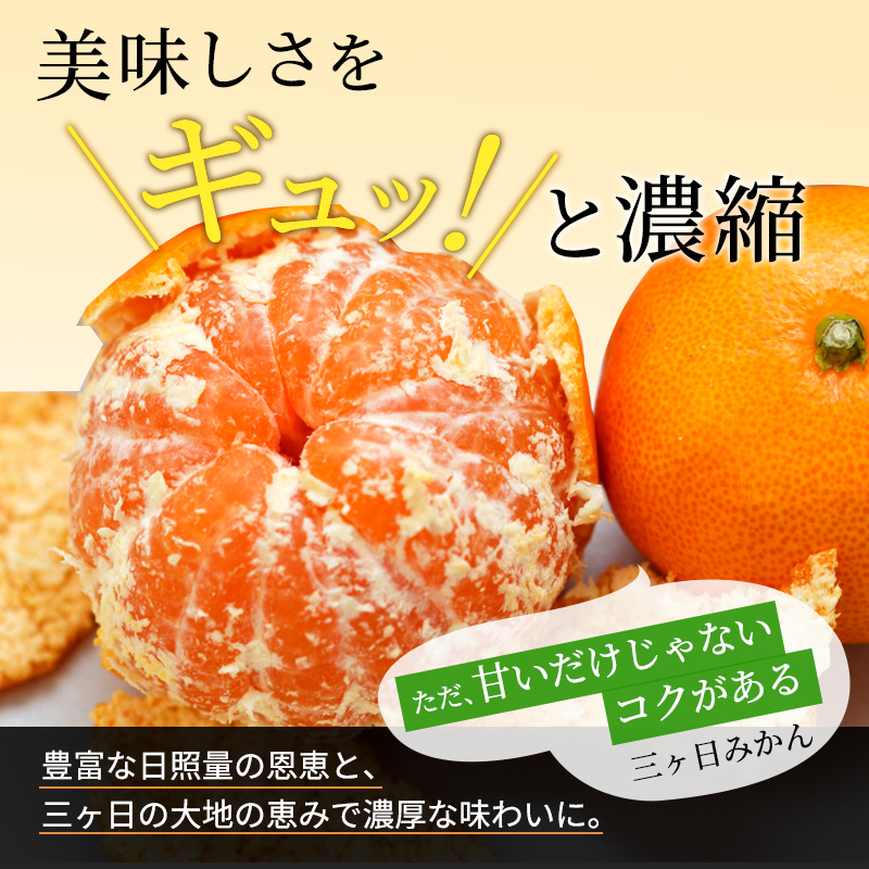 【2026年3月上旬頃より順次発送】三ヶ日みかん 誉れ 3.5kg以上 みかん ミカン 蜜柑 誉れみかん 三ヶ日 果物 くだもの フルーツ 旬の果物 旬のフルーツ 柑橘 柑橘類 糖度 静岡 浜松市【配送不可：離島】