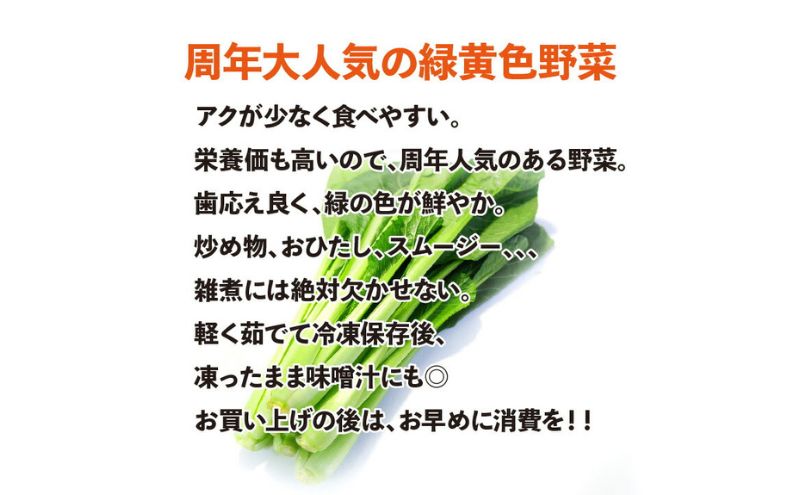 小松菜 10袋入り 1袋200g 約2kg 【配送不可：離島】 こまつな こまつ菜 サラダ 野菜 おひたし 静岡 浜松市