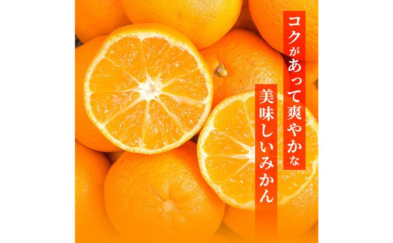 【訳あり】三ヶ日平山産 加藤柑橘園のみかん 約5kg みかん ミカン 蜜柑 青島みかん フルーツ 静岡 浜松市