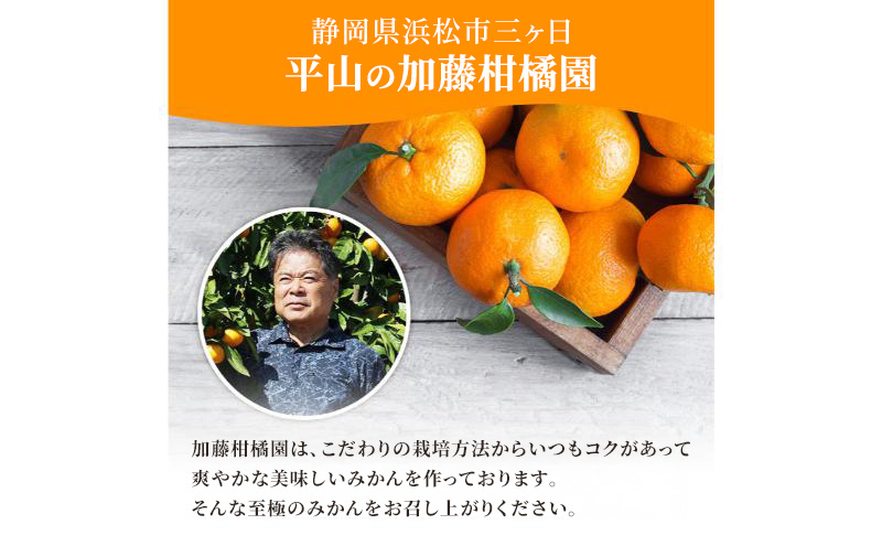 【訳あり】三ヶ日平山産 加藤柑橘園のみかん 約5kg みかん ミカン 蜜柑 青島みかん フルーツ 静岡 浜松市