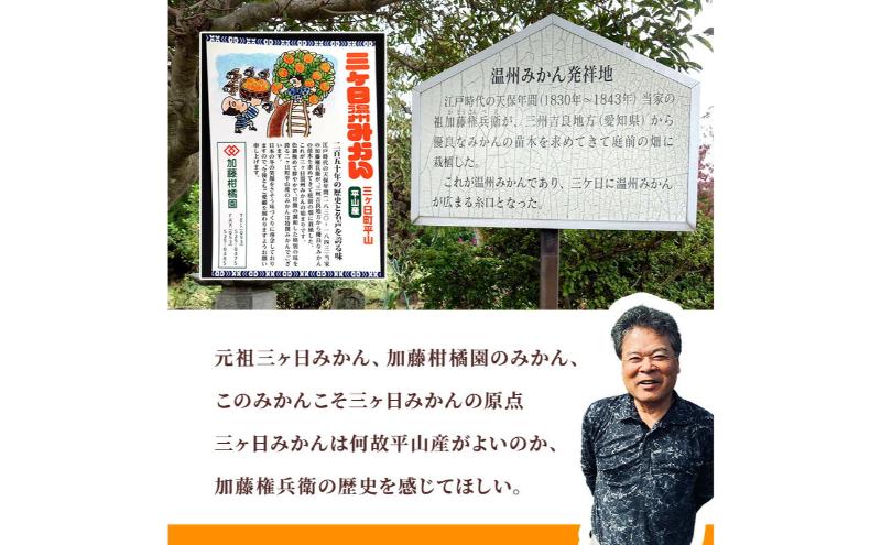 【訳あり】三ヶ日平山産 加藤柑橘園のみかん 約5kg みかん ミカン 蜜柑 青島みかん フルーツ 静岡 浜松市