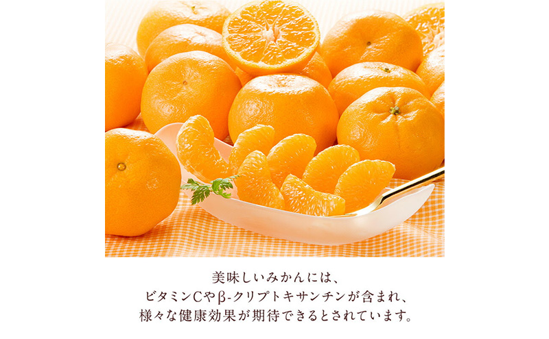 【訳あり】三ヶ日平山産 加藤柑橘園のみかん 約10kg みかん ミカン 蜜柑 青島みかん フルーツ 静岡 浜松市