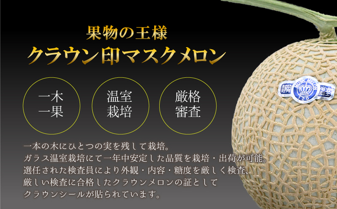 高級クラウンマスクメロン 白等級 1.4kg 1玉入り【配送不可：離島】