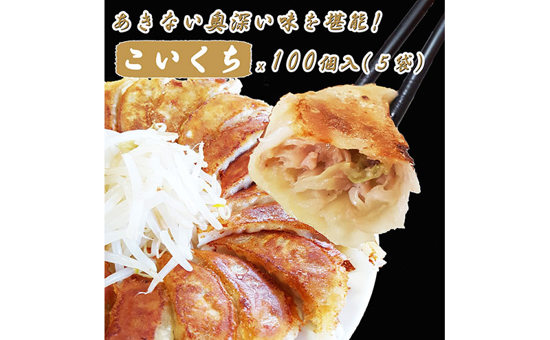 【定期便3回】浜松餃子 大須のぎょうざ［ 浜松ぎょうざ まろやか風味＜ こいくち味 ＞］×5袋（1袋20個入、合計100個）