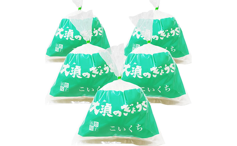 【定期便6回】浜松餃子 大須のぎょうざ［ 浜松ぎょうざ まろやか風味＜ こいくち味 ＞］×5袋（1袋20個入、合計100個）