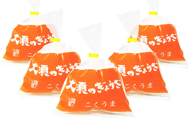 【定期便3回】浜松餃子 大須のぎょうざ［ 浜松ぎょうざ とまらぬコクと旨いを堪能！＜ こくうま味 ＞］× 5袋（1袋20個入、合計100個）