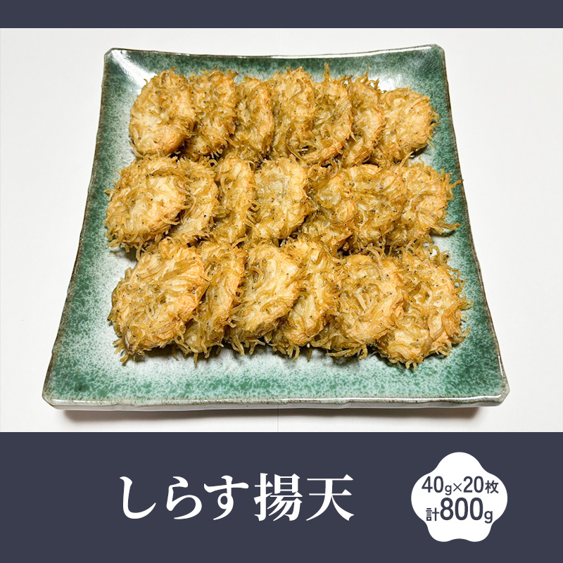 しらす揚天 40g×20枚　計800g 国産 静岡県 練り物 おつまみ おでん 煮物 食材 料理 食品