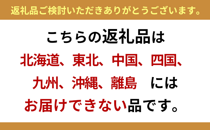 【2026年1月より順次発送】浜名湖産かき大粒むき身500g（加熱用）先行予約 牡蠣 海鮮 魚介 国産 浜名湖産 貝付き 生牡蠣 焼き牡蠣 蒸し牡蠣 冷蔵 産地直送