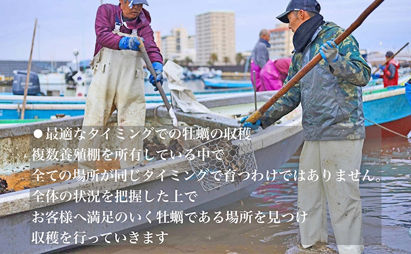 【2026年1月より順次発送】浜名湖産かき大粒むき身500g（加熱用）先行予約 牡蠣 海鮮 魚介 国産 浜名湖産 貝付き 生牡蠣 焼き牡蠣 蒸し牡蠣 冷蔵 産地直送