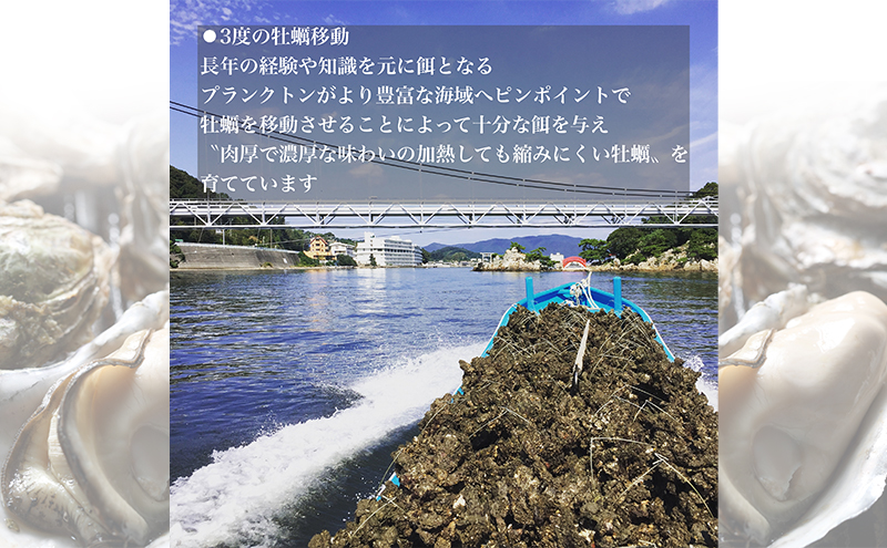 【2026年1月より順次発送】浜名湖産かき大粒むき身500g（加熱用）先行予約 牡蠣 海鮮 魚介 国産 浜名湖産 貝付き 生牡蠣 焼き牡蠣 蒸し牡蠣 冷蔵 産地直送