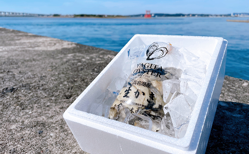 【2026年1月より順次発送】浜名湖産かき大粒むき身500g（加熱用）先行予約 牡蠣 海鮮 魚介 国産 浜名湖産 貝付き 生牡蠣 焼き牡蠣 蒸し牡蠣 冷蔵 産地直送