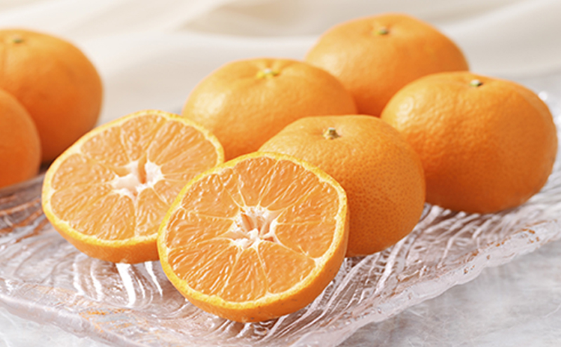 【2026年6月下旬より順次発送】静岡県浜松市産ハウスみかん1.4kg