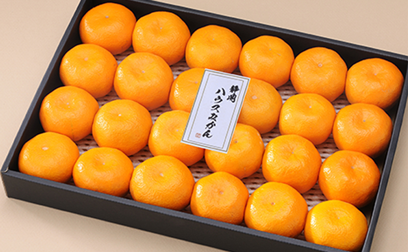 【2026年6月下旬より順次発送】静岡県浜松市産ハウスみかん2.4kg