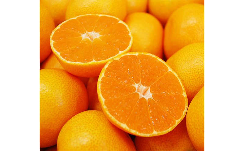 三ケ日みかん 早生【優品】Sサイズ8kg(96個前後)  ミカン 果物 くだもの フルーツ 甘い 静岡県 浜松市 果物類 柑橘類