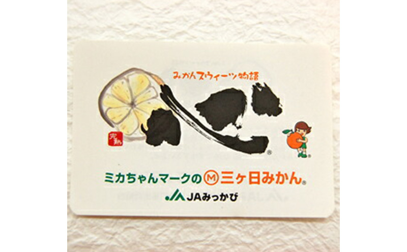 完熟三ヶ日早生みかん「心(こころ)」早生【赤秀品】Sサイズ4kg(48個前後)  ミカン 果物 くだもの フルーツ 甘い 静岡県 浜松市 果物類 柑橘類