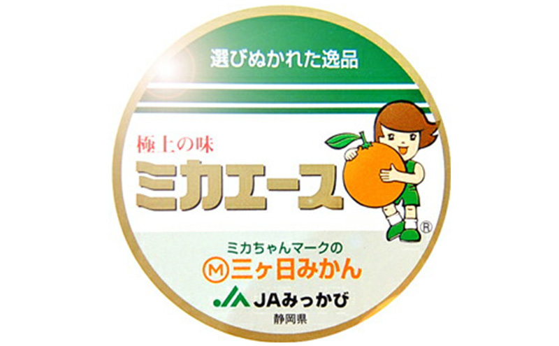 三ヶ日ミカエース 三ヶ日みかん 早生 Mサイズ 特選品4kg(36個前後)  ミカン 果物 くだもの フルーツ 甘い 静岡県 浜松市 果物類 柑橘類