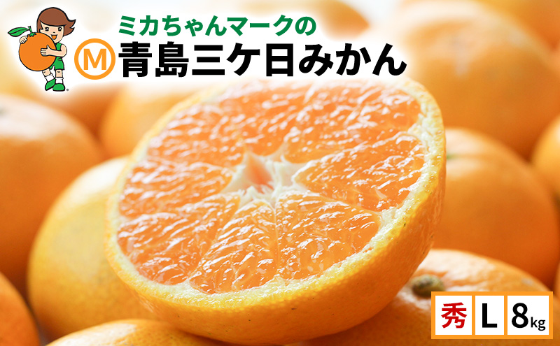 みかん 三ヶ日 青島みかん みっかび 大玉 3kg 2～3L 静岡 | G-Call