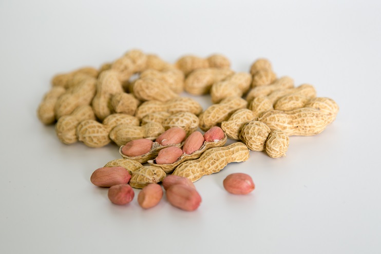 浜松産ピーナッツバター225g（落花生のみ）＆ローストピーナッツ（素煎り）各1個セット 静岡 浜松市