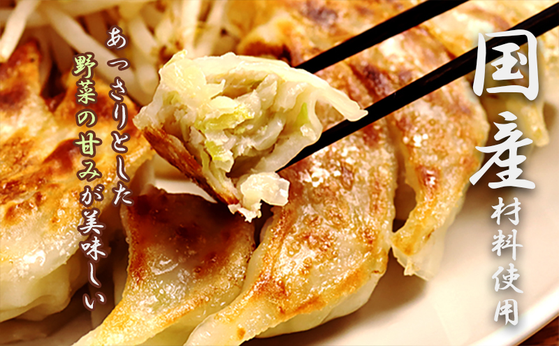 【定期便6回】浜松餃子 60個 (20個×3袋) セット 詰め合わせ 餃子のタレ 小袋 知久屋 国産 ぎょうざ 餃子 ギョーザ 冷凍餃子 静岡 静岡県 浜松市 【配送不可：離島】