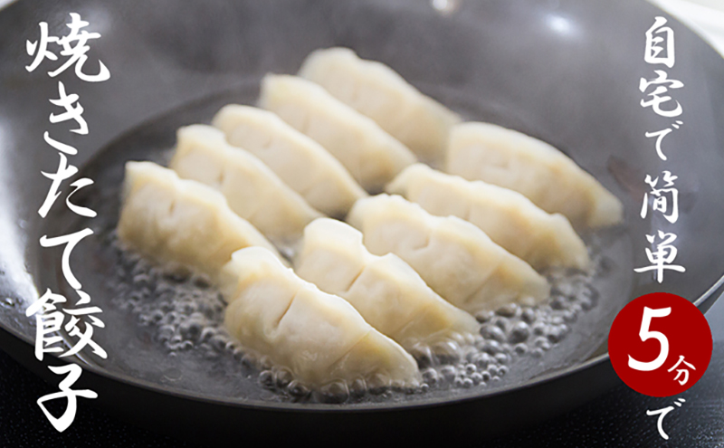 【定期便6回】浜松餃子 60個 (20個×3袋) セット 詰め合わせ 餃子のタレ 小袋 知久屋 国産 ぎょうざ 餃子 ギョーザ 冷凍餃子 静岡 静岡県 浜松市 【配送不可：離島】