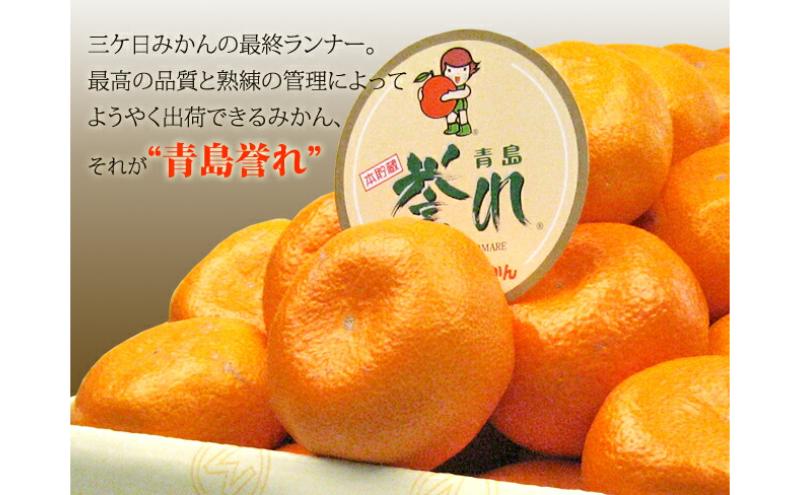 三ヶ日みかん 本貯蔵 青島 誉れ 【赤秀】Mサイズ4キロ(36個前後) ミカン 果物 くだもの フルーツ 甘い 浜松市 果物類 柑橘類