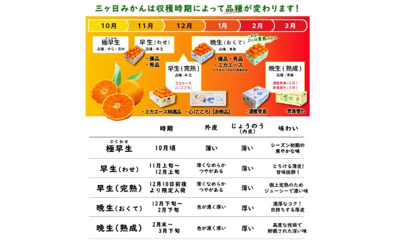 三ヶ日みかん 本貯蔵 青島 誉れ 【赤秀】Mサイズ4キロ(36個前後) ミカン 果物 くだもの フルーツ 甘い 浜松市 果物類 柑橘類