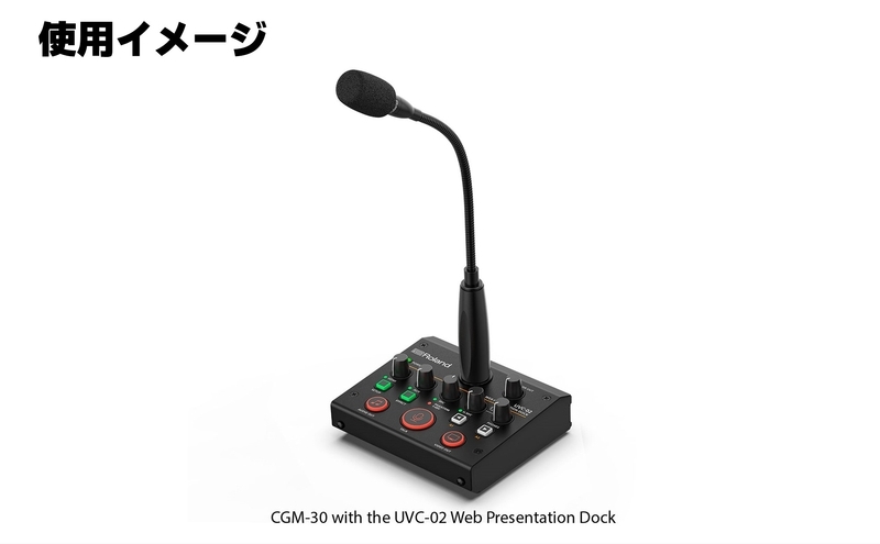 Roland Pro A/V】グースネック型マイク/CGM-30【配送不可：離島