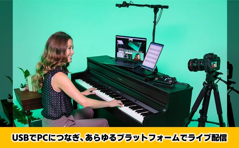 【Roland Pro A/V】ストリーミングビデオミキサー/V-02HD MKII【配送不可：離島】 ミキサー 配信 コンパクト 高品質 ローランド 浜松市