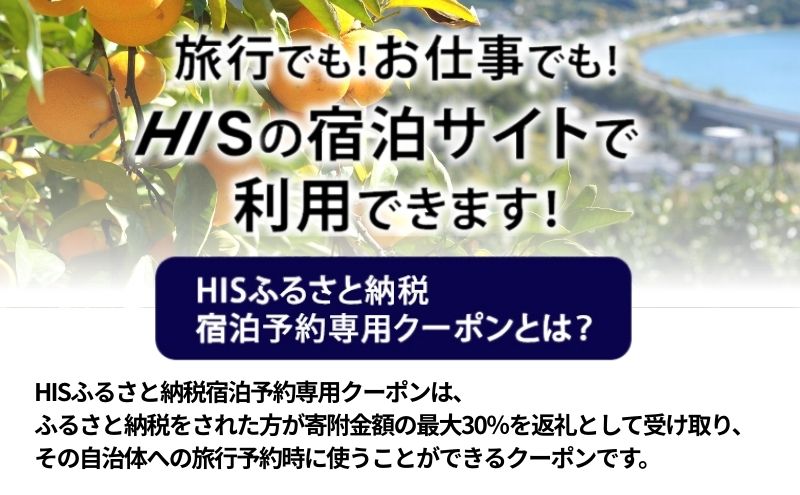 HISふるさと納税宿泊予約専用クーポン（静岡県浜松市）9,000円分