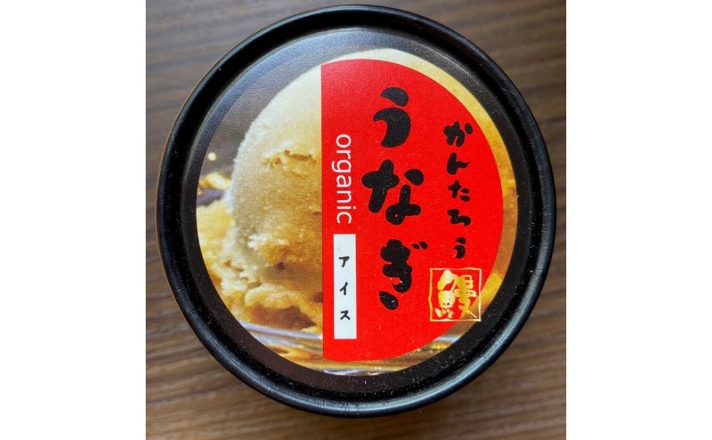 うなぎの蒲焼1尾約120g/うなぎ入りおむすび2個入2袋/うなぎアイス2個セット うなぎ 鰻 ウナギ 蒲焼 アイス おむすび おにぎり おやつ デザート スイーツ セット 冷凍 国産鰻 浜松市 静岡県