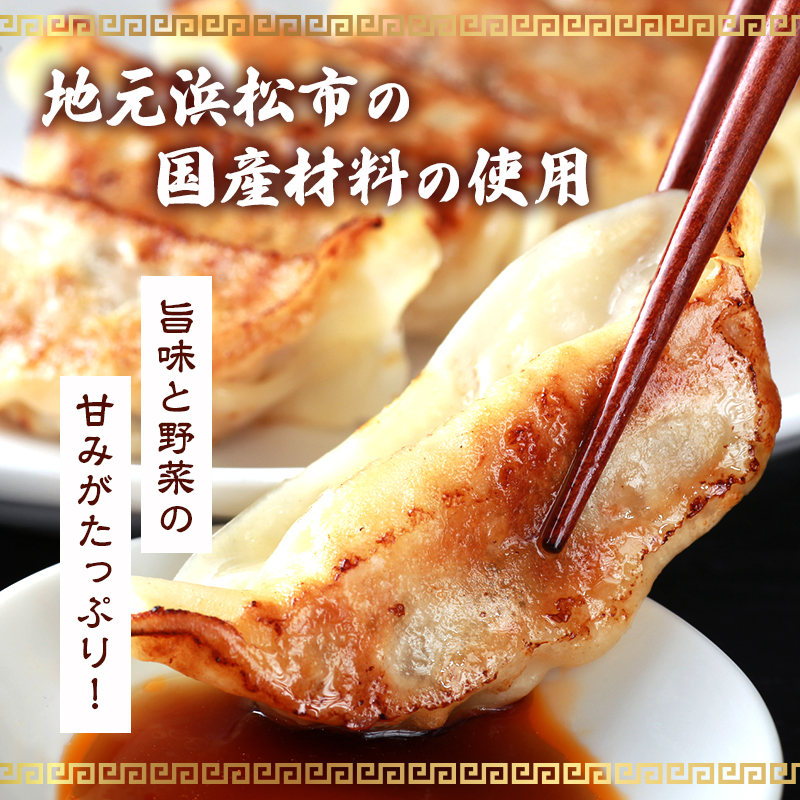 【定期便6回】ジューシーもち豚餃子（浜松餃子）うまさAランク 98個×6回（6か月）【配送不可：離島】餃子 ぎょうざ 中華 点心 惣菜 おかず 冷凍 ギョウザ 五味八珍 浜松市