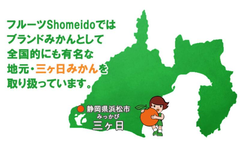 【季節限定製造】JAみっかび青島みかん果汁100％ストレートジュース　280ｇ缶×6本 みかんジュース ミカン フルーツ 搾りたて 浜松市 柑橘類