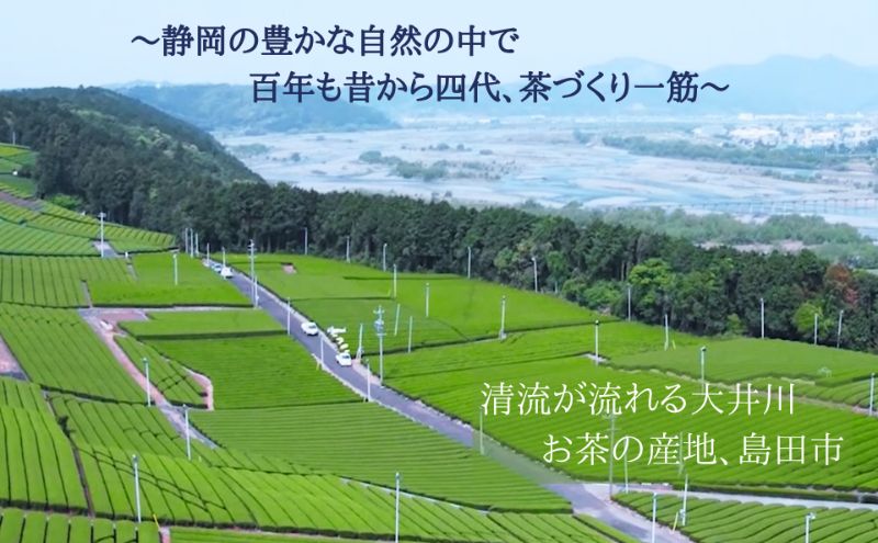 まろやか煎茶ティーバッグ 里山のしずく ５本 お茶 煎茶 ティーバッグ TB オススメ お湯出し 静岡 島田市