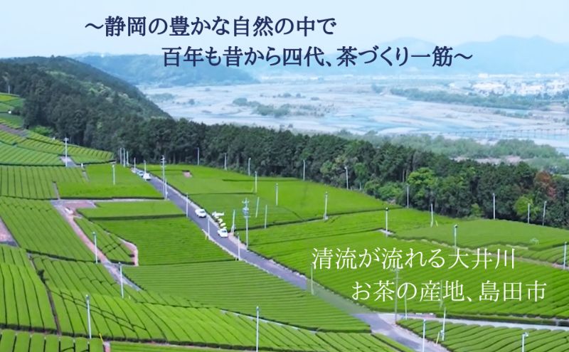 茶久 煎茶初摘100ｇ×3本 化粧箱入り お茶 煎茶 初摘 深蒸し オススメ お湯出し 水出し 贈答品 箱入り ギフト