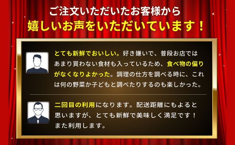 野菜 とれたて 季節の野菜 パック 8品前後 詰め合わせ セット 野菜セット 旬の野菜 旬 野菜詰め合わせ 野菜詰め合わせセット 産地直送 送料無料 たまねぎ にんじん じゃがいも ほうれん草 トマト キャベツ しいたけ 大根 白菜 冷蔵 静岡