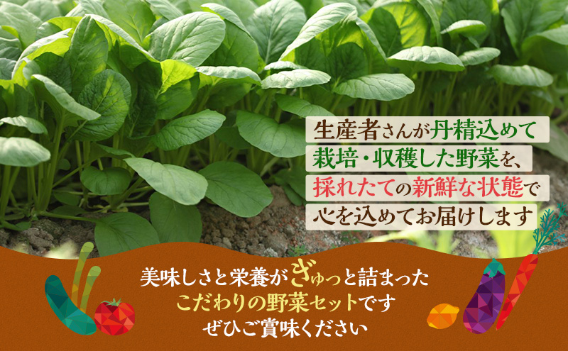 野菜 定期便 12回 とれたて 季節の野菜 8品前後 パック 詰め合わせ セット 野菜セット 野菜詰め合わせ じゃがいも にんじん 大根 小松菜 白ネギ グリーンリーフ チンゲン菜 椎茸 トマト 水菜 葉ネギ 旬の野菜 旬 冷蔵 冷蔵配送 静岡 定期 12ヶ月