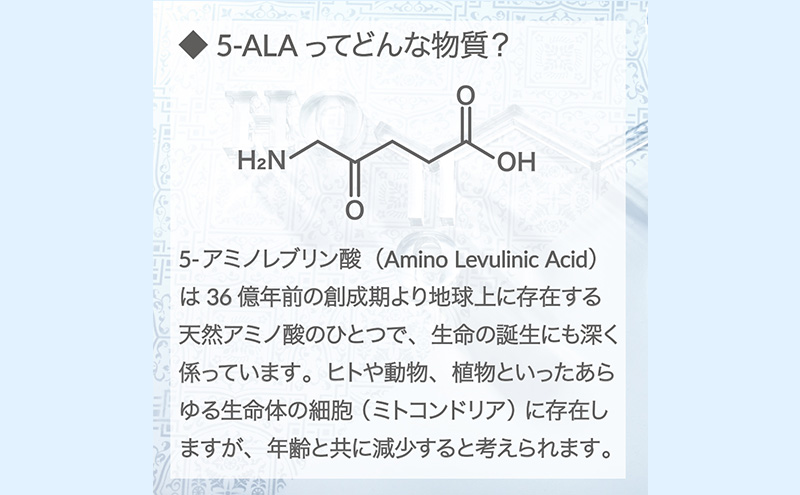 アラヴァイタル（5-ALAサプリメント）30粒入り おまとめ4個セット 健康食品 アミノ酸 健康 ヘルシー  美容 人気 厳選  袋井市