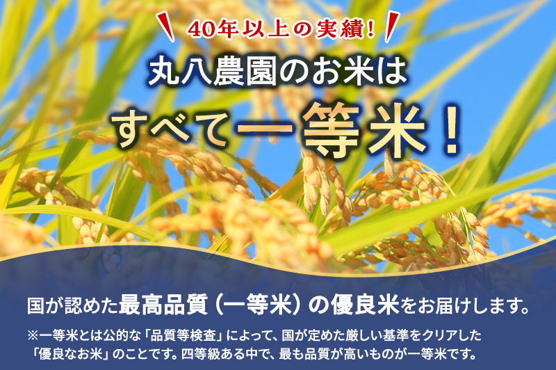お米 令和7年度産静岡産にこまる精米5kg 米 コメ にこまる 精米 白米 袋井市 静岡県