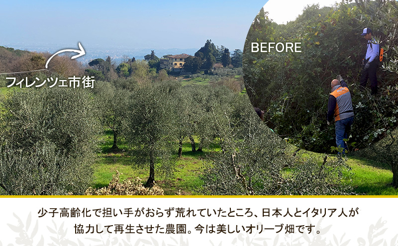 【五つ星ホテル指名買い】数量限定 味比べセット トスカーナ産 エキストラ バージン オリーブオイル(183.2g×2本) 2026年4月発送 調味料 油 オリーブ油 食用油 静岡県 袋井市