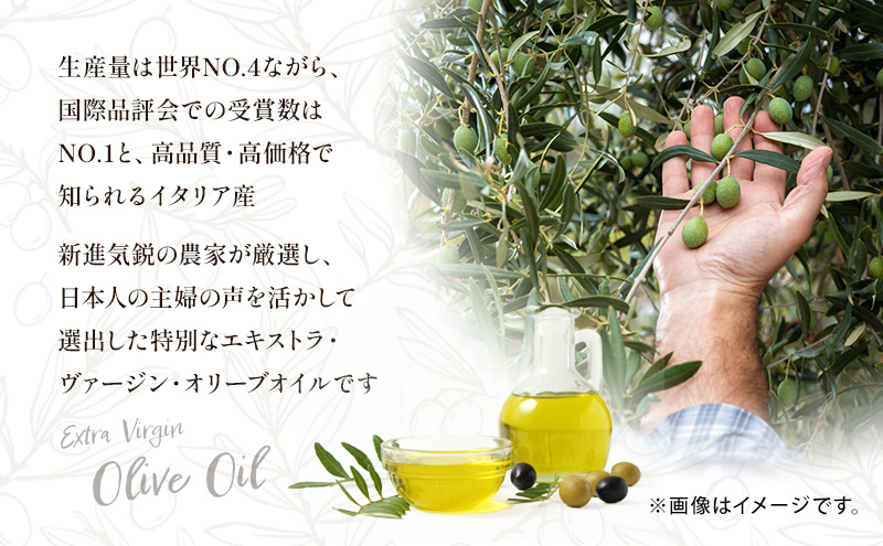 【受賞農家が選出】 高級イタリア産 エキストラ・ヴァージン・オリーブオイル 450g×3個【2025年1月より順次発送】