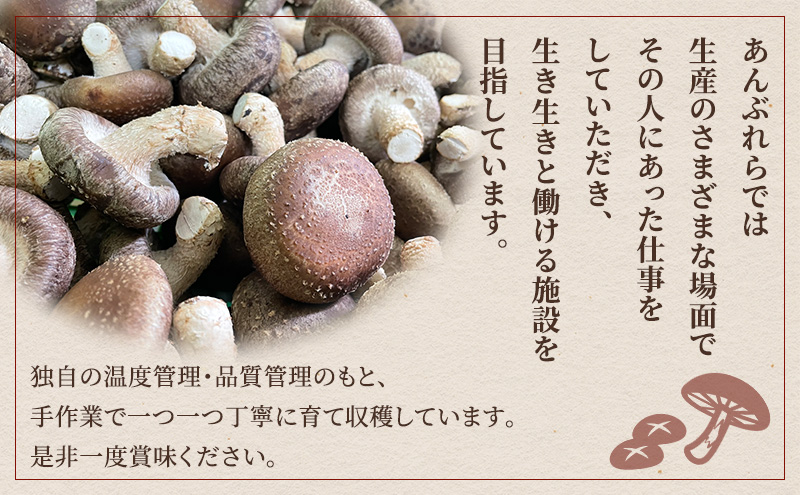 【遠州どまんなかしいたけ】 乾燥しいたけセット (乾燥しいたけ　丸小 30g1袋 , スライス 小35g2袋)　干し椎茸 産地直送 国産 料理 素材 出汁 日本料理 就労支援 福祉 静岡 袋井