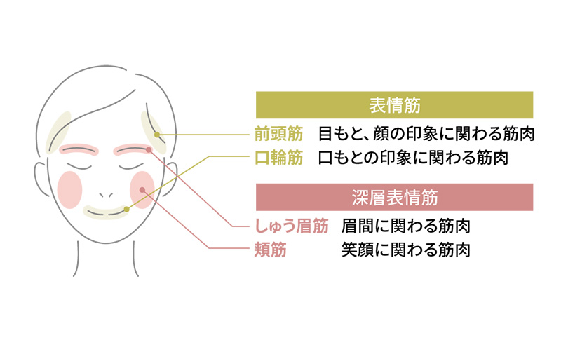 ヤーマン RF美顔器 フォトプラス プレステージ SP M22 美顔器 YA-MAN 多機能 スキンケア リフトアップ ケア リフトケア 肌 トータルケア 美白 美肌 うるおい フェイシャル LED 美容 美容家電 静岡 静岡県 裾野 裾野市