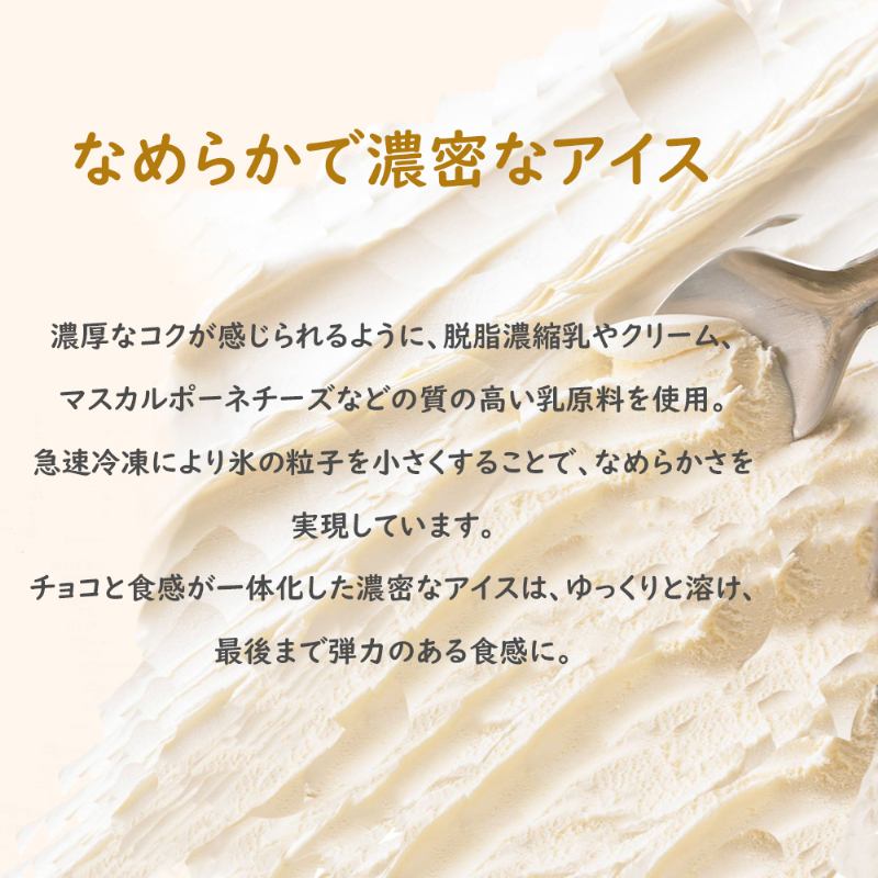 16. PARM チョコレート (ノベルティ) 個包装 48本 アイス アイスクリーム アイスバー パルム 森永乳業 静岡 裾野市