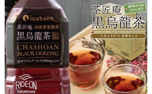 [定期便3か月]黒烏龍茶 2L×9本 国産人気 食事のお供に 健康 ペットボトル飲料 いなば園 ウーロン茶
