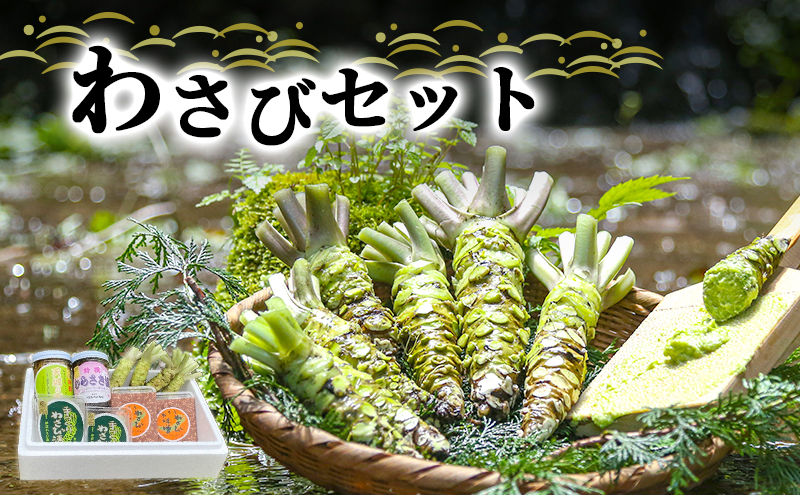 とれたて わさび セット 池 伊豆わさび食品直送 生わさび 4本 手作り わさび漬け 天城の春 三杯酢漬け わさびみそ むらさき漬 醤油漬け 伊豆  ワサビ 茎 加工品 加工食品 薬味 詰め合わせ 静岡 調味料: 河津町ANAのふるさと納税