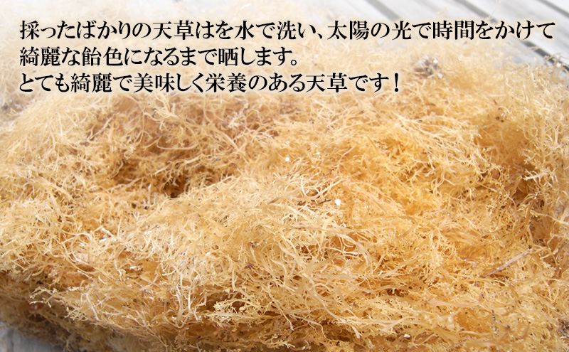 漁師直送 晒し天草 70g×3袋 天草 産地直送 新鮮 選別品 河津町 静岡県